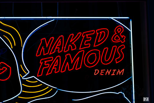 NAKED N FAMOUS #2