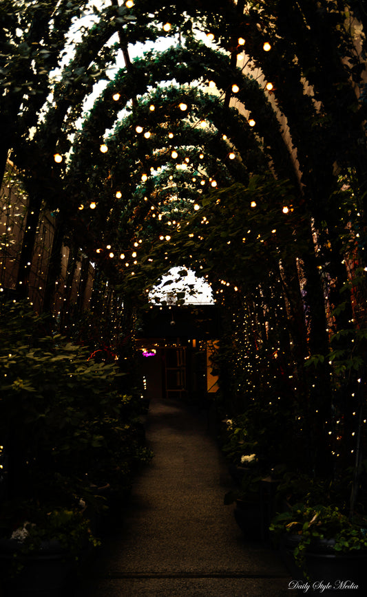 ARCHWAY